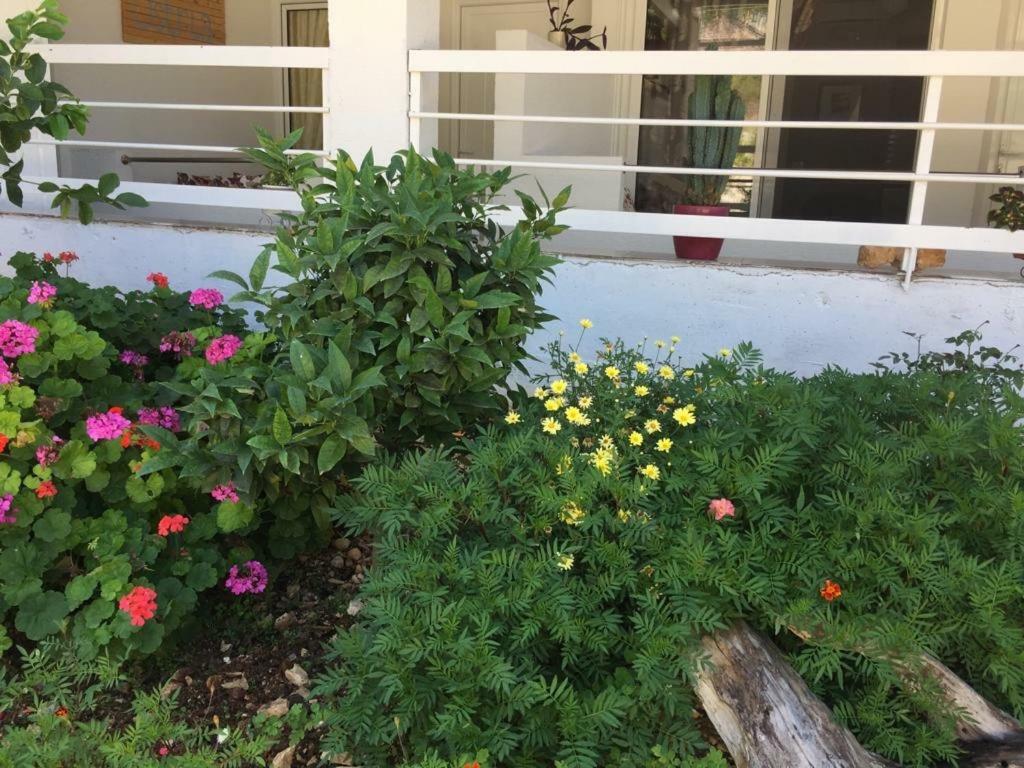 Ostria Hotel Sarandë Eksteriør bilde